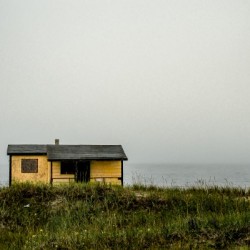 Yellow House